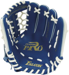 Oä NpO[u Ep wZ ̈  Nu  i  pi p K ߋ NG[V 1 v y { S4017