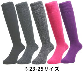 【7/15 ポイント最大10倍】 ノースピーク north peak スノーボード マイン mine ソックス 2足組 ウィンタースポーツ向け スノーボード スキー アクリル+レーヨンで発熱効果 MP-627 MP627 AST