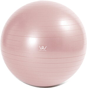 y12/3 20 |Cgő15{Iz ACR ALINCO GNTTCY{[55cm WBF055