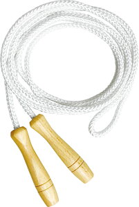 y12/3 20 |Cgő15{Iz n^ HATAS ƂтȂʗp   ꒵ ƂтȂ  g[jO L_f^ GNTTCY wZ ̈  s  NG[V