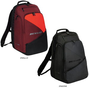 y12/1 |Cgő15{Iz _bv DUNLOP ejX obNpbN DTC-2482 DTC2482