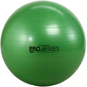 y11/27 2܂ |Cgő12{Iz fB[AhG D&M Zoh THERABAND GNTTCY{[ ő咼a65cm oX{[ {[ g[jO ؃g Xgb` ̊ nr X|[