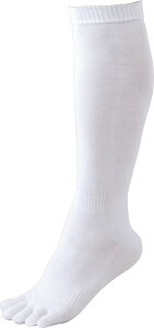 y11/14 10 |Cgő13{Iz [bg ZETT 3P5{w\bNX zCg 24`27cm 싅E\tg{[p C O^Cv 䒷 ڎdl x[X{[ d  \tg{[ BK035L 1100