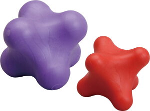 y11/14 10 |Cgő13{Iz n^ HATAS Zs[|bh召Zbg ObY  w    K PA Ȃ^ c{ h bNX ʉ }bT[W ˋN ItBX t