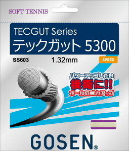 【10/30 ポイント最大10倍】 ゴーセン GOSEN テニス ソフトテニス ガット TECGUT 5300 ナチュラル ソフトガット ソフテ 軟式 ストリング 部活 競技者 一般 社会人 チーム クラブ SS603NA
