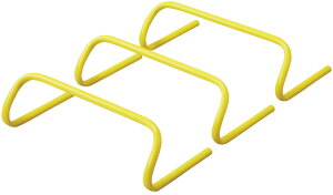 y10/30 |Cgő10{z [bgwZ̈ tLVu~jn[h15  ́[ǂ g[jO ̗͂Â ؃g  K   K wZ  Nu X|[c