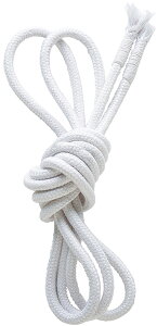 y11/4 20 |Cgő13{Iz TTL SASAKI V̑ [v M26