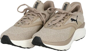 y11/30 |Cgő12{Iz v[} PUMA SOFTRIDECu EBY fB[X  l Xj[J[ V[Y C v ʋC _ jO EH[LO fC[ ig K 31016025