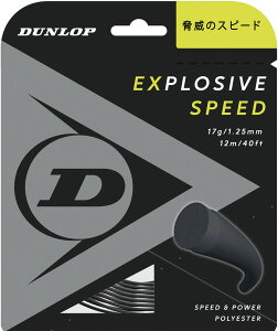 y10/13܂ iIMAX500~OFFN[|z _bv DUNLOP ejX ejX XgO |GXen mtBg GNXvbVu Xs[h 12m DST11021 079