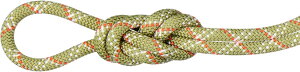 y9/11 2܂ |Cgő10{Iz }[g MAMMUT AEghA 9.5 GYM CLASSIC ROPE 201004260B 01231