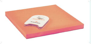 y11/27 2܂ |Cgő12{Iz Goj[ Evernew y[J[iz 100ST ̈  ̈ ̂  ^  EHA181 R