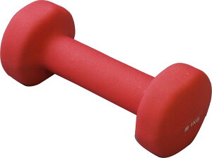 y11/30 |Cgő12{Iz [V EuroSCHIRM J[A[ 1 kg STW061