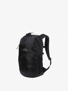 �yTHE NORTH FACE/�U�E�m�[�X�E�t�F�C�X�z �yNM72351�z �yGEMINI 22�z�W�F�~�j22 22L �f�C�p�b�N