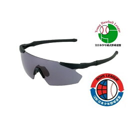 SWANS GULLWING-FLEX S GUFS-0018(MBK) ジュニアサングラス ユースサングラス