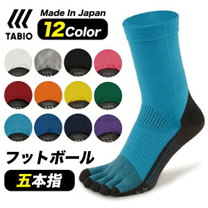 TABIO/^rI tbg{[ ܖ{w \bNX Obv