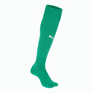 v[}@LIGA@WjAXgbLO@729880@05ybp[O[@PUMA@TbJ[\bNX