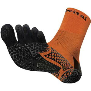 ANeBoC^@vt@Cu@5{w\bNX@IW@C@~߁@Obv\bNX@jO\bNX