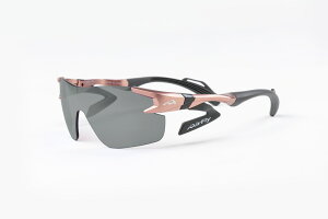 m[YpbhXX|[cTOX@AirFly@AF302C4SPiTCYjΌYgݍ݃Zbg@sN/O[@WSXybN@ZYGOSPEC@GAtC