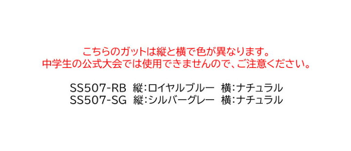 SALE/99%OFF】 GOSEN ゴーセン テックパワー 前後衛用 SS605CB ソフトテニス ストリングス クリアブラック riosmauricio.com SALE/99%OFF】 GOSEN ゴーセン テックパワー 前後衛用 SS605CB ソフトテニス ストリングス クリアブラック riosmauricio.com