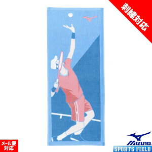 yhJHΉzejX ANZT[ ^I ^I ejXfUCtFCX^I  ~Ym 32JYC125 ǎ̍Y^I ^I  cv[gɂ MIZUNO