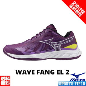 EG[ut@OEL2 71GA2423 3E oh~g V[Y ~Ym EG[ut@OV[Y珉ELfo oh~gV[Y TCY {oh~g