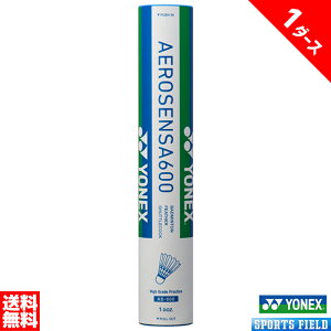 GAZT600 1_[X K oh~g Vg lbNX YONEX AEROSENSA600 AS-600 AS600  badminton lbNX oh~g