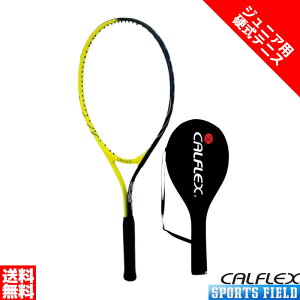 Kbgグς dejX Pbg JtbNX WjApejXPbg CAL-26 8΁`ʏS pP[Xt CALFLEX