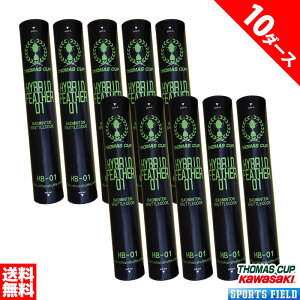 y10_[Xzoh~g Vg Kp g}XJbv nCubhVg 01 HYBRID FEATHER 01 HB-01 10_[XS120 w Z S Vg oh~gVg Kp g[