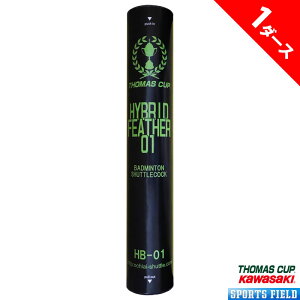 y1_[Xzoh~g Vg Kp g}XJbv nCubhVg 01 HYBRID FEATHER 01 HB-01 1_[X12 w Z S Vg oh~gVg Kp g[j