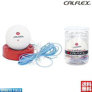 \tgejX Kp TNC JtbNX \tgejXg[i[ ZtejX XyA{[Zbg 2_ZbgyzejX ZtejX K \tgejX {[Ȃ