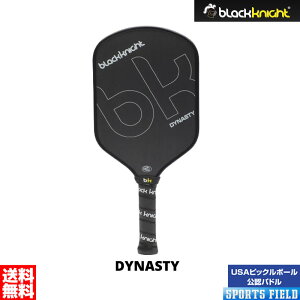 sbN{[ ph 1{ ubNiCg PP-9131 DYNASTY nCGhf USAsbN{[Fph oh~gR[gƓXy[XAlbgAphA{[ΒNły