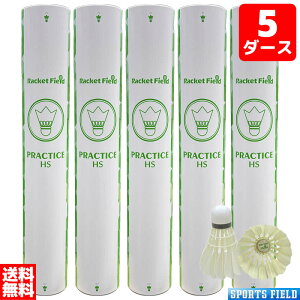 バドミントン シャトル 練習用 ラケットフィールドオリジナル アウトレット プラクティスHS 5ダース 中学生 高校生 初心者 シャトル バドミントンシャトル 練習用 トレーニング 羽 水鳥 フェ