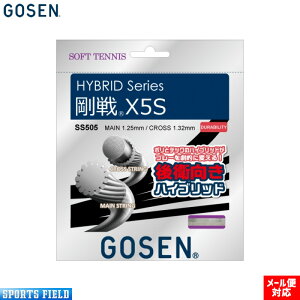 \tgejX Kbg S[Z GOSEN XgOX SS505 nCubhX5S ejX soft tennis