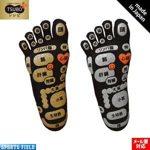 TSUBOVsPLUS ʑ5{w\bNX O} Y fB[X ƒIC𗚂ĕŁAŜ悭CICɂȂ̂̕ʂɃs|CghI