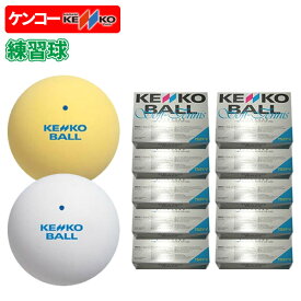 ソフトテニス ボール ケンコー KENKO ソフトテニスボール 練習球 10ダース【ソフトテニスボール練習球 軟式テニス 練習 オンネーム加工無料 送料無料 テニスボール 軟式 軟式テニスボール 練習 ソフトテニス ボール オンネーム soft tennis ball】