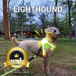 犬の夜散歩用ライトを探しています。光る首輪やハーネス、リードなど着けるタイプでおすすめは？