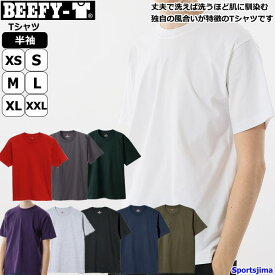 ヘインズ Tシャツ メンズ トレーニングウェア 半袖 コットン100％ BEEFY H5180 綿 Hanes 無地 おしゃれ 肉厚 しっかり 運動 ジム スポーツウェア ウエア 男女兼用 部屋着 ゆうパケット対応