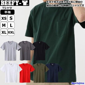 ヘインズ Tシャツ メンズ トレーニングウェア 半袖 コットン100％ BEEFY H5190 胸ポケット付き 綿 Hanes 無地 おしゃれ 肉厚 しっかり 運動 ジム スポーツウェア ウエア 男女兼用 部屋着 ゆうパケット対応