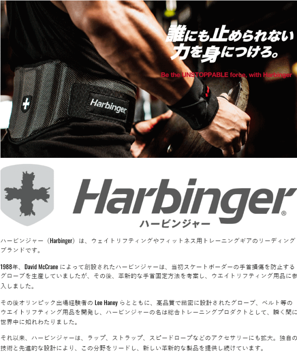 楽天市場】トレーニングベルト ハービンジャー 筋トレ サポーター