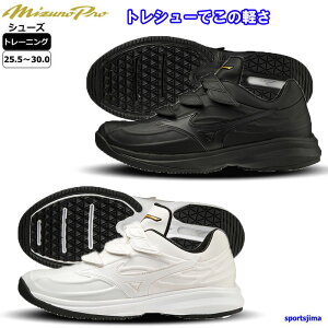 ~Ym 싅 g[jOV[Y 11GT2200 EG[uCg{ v KL C ~Ymv gV[ xg V K lC   Z w