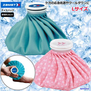 XX UXg X̂ ACXobO LTCY a26cm zamst ACVO M ΍ P St 傫߃TCY 䂤pPbgΉ