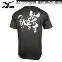 ミズノ メンズ Tシャツ 半袖 メッセージTシャツ 87WT210 ブラック 【努力は嘘をつかない】 名言 シャツ 吸汗速乾 チーム 部活 クラブ おすすめ 人気 男女兼用 ジュニア バックプリント tシャツ オリジナル 限定 ゆうパケット対応