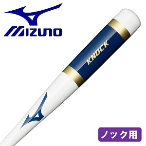~Ym 싅 mbNobg 91cm p ؐ MIZUNO d  \tg{[ 1CJWK17491