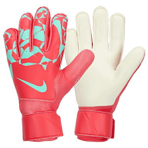 iCL NIKE L[p[O[u GKO[u GK }b` HQ0257-850