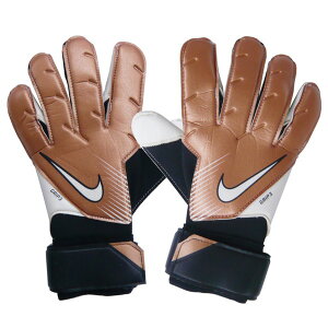 iCL L[p[O[u GKO[u GK Obv 3 NIKE DV3097-810