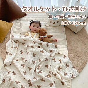  ^IPbg K[[Pbg q qǂPbg G|  Q ȂPbg xr[ K[[ 2d 100 K[[ ۈ牀 ct Ԃ _炩 uPbg j