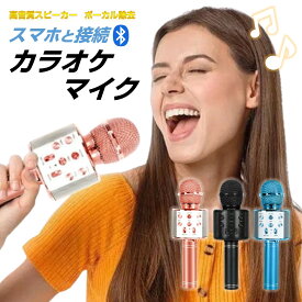 カラオケマイク ワイヤレスマイク Bluetoothマイク スピーカー付き 高音質 USB充電 録音 ボーカルカット エコー 子供 クリスマス 誕生日 パーティー プレゼント