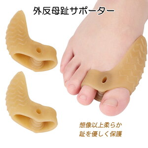 OT|[^[ VRS w ܐ w ewی  \{ 炩 j  p OObY tbgPA E C e ɂ݌y 