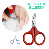 鳥用爪切り 小型 ミニ 爪切り はさみ ペット 猫 鳥 インコ 文鳥 小動物 安全 カーブ刃 ステンレス 簡単 …