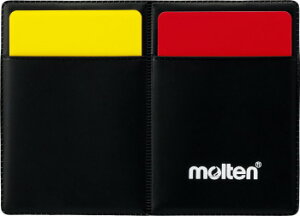 e molten QF0060 xJ[hP[XZbg